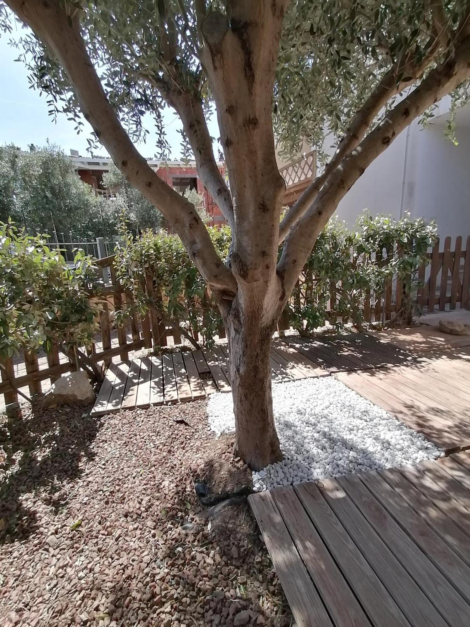 Sardamare Apartments Appartamenti La Ciaccia Валледория Номер фото